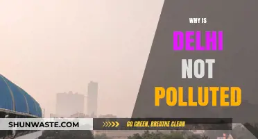 Delhi's Clean Air: Unraveling the Secrets Behind Its Pollution-Free Skies
