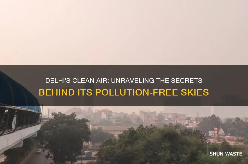 why is delhi not polluted