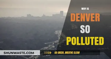 Denver's Air Quality Crisis: Uncovering the Causes of Pollution