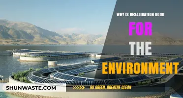 Desalination's Eco-Friendly Impact: Sustainable Water Solutions for a Greener Future