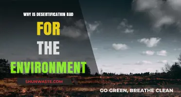 Desertification's Devastating Impact: How Land Degradation Harms Our Environment