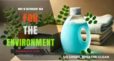 Detergent's Dark Side: Environmental Impact and Sustainable Alternatives