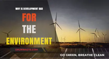 Development's Dark Side: Environmental Costs of Progress and Growth