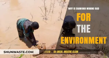 The Environmental Devastation Caused by Diamond Mining Explained