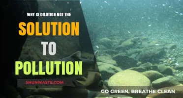 Dilution's Limits: Why Spreading Pollution Isn't a Sustainable Solution