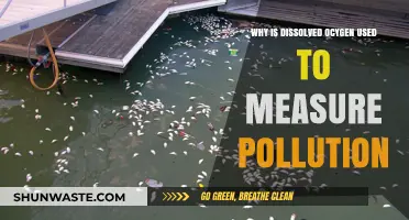Dissolved Oxygen: A Key Indicator of Water Pollution Levels