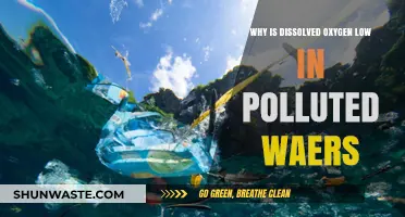 Polluted Waters: Unraveling the Causes of Low Dissolved Oxygen Levels