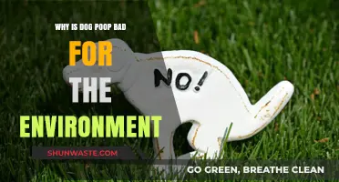 Dog Poop's Environmental Impact: Why It's a Growing Green Concern