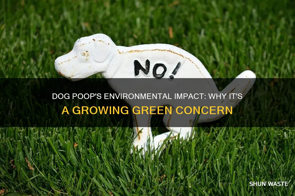 why is dog poop bad for the environment