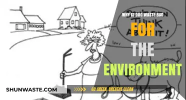 Dog Waste's Environmental Impact: Harmful Effects and Sustainable Solutions