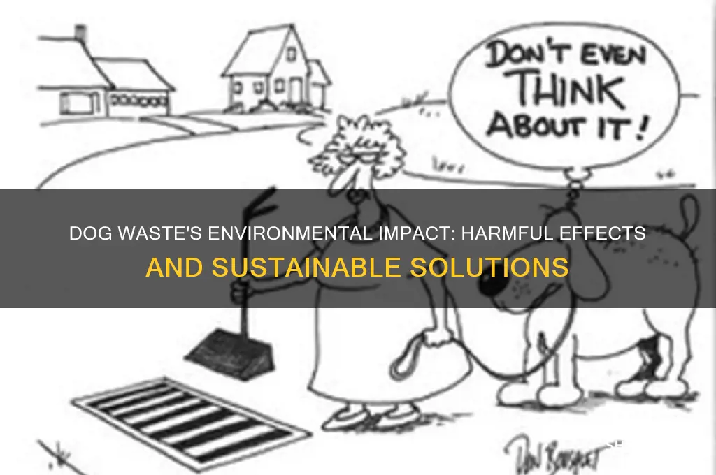 why is dog waste bad for the environment