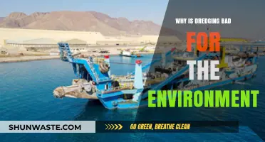 Dredging's Environmental Impact: Harmful Effects on Ecosystems and Wildlife