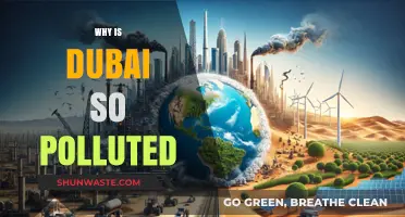 Dubai's Pollution Crisis: Causes, Impacts, and Urgent Solutions Needed