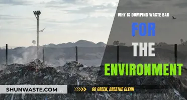 Environmental Impact: How Waste Dumping Destroys Ecosystems and Pollutes Our Planet