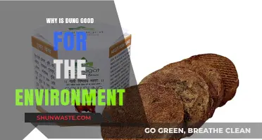Dung's Eco-Friendly Power: Boosting Soil, Biodiversity, and Sustainability Naturally