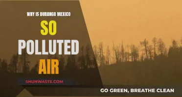 Durango's Air Pollution: Why Is It So Bad?