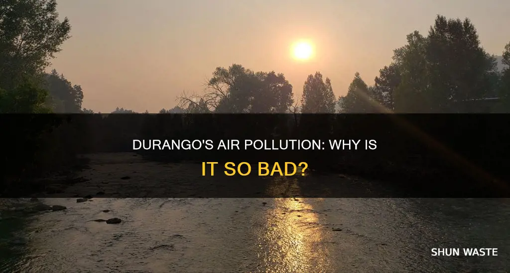 why is durango mexico so polluted air