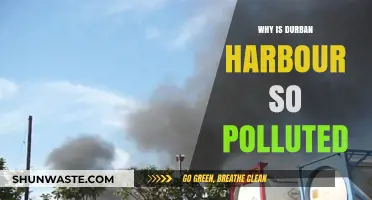 Durban Harbour's Pollution Crisis: Causes, Impacts, and Urgent Solutions