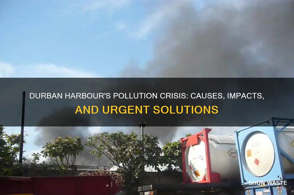 why is durban harbour so polluted