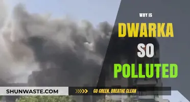 Dwarka's Pollution Crisis: Uncovering the Causes and Consequences
