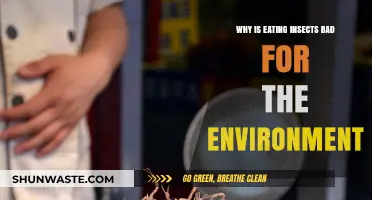 Insect Consumption: Unraveling the Environmental Impact of Eating Bugs