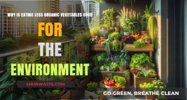 Reducing Organic Veggie Intake: An Unexpected Eco-Friendly Choice