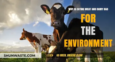 Meat and Dairy's Environmental Impact: A Sustainable Diet Dilemma