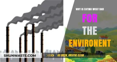Meat's Environmental Impact: How Your Diet Harms the Planet