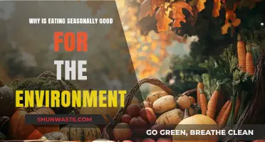 Eating Seasonally: A Sustainable Choice for a Healthier Planet