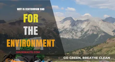 Ecotourism's Dark Side: How Green Travel Harms Fragile Ecosystems