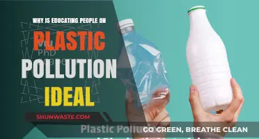 Educating on Plastic Pollution: A Key to Sustainable Environmental Change
