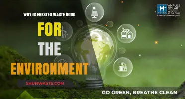Egestion's Eco-Benefits: How Waste Supports a Healthier Environment