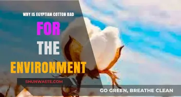 Egyptian Cotton's Environmental Impact: Unsustainable Practices and Ecological Consequences