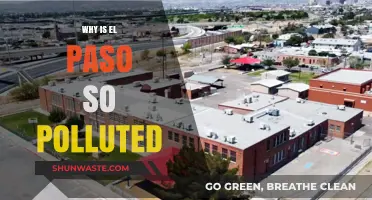 El Paso's Pollution Crisis: Causes, Impacts, and Solutions Explored