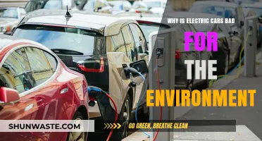 Electric Cars' Hidden Environmental Costs: Myths vs. Reality