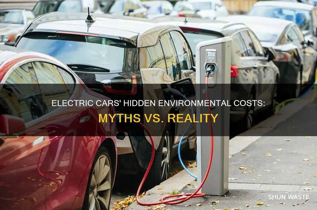 why is electric cars bad for the environment