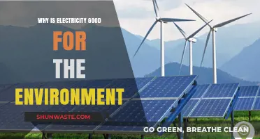 Electricity's Eco-Friendly Impact: How Clean Energy Benefits Our Planet