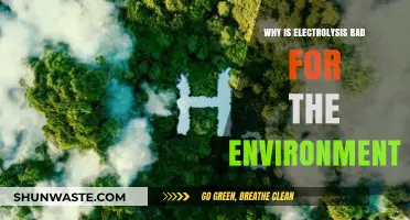 Electrolysis Environmental Impact: Uncovering Its Hidden Ecological Footprint