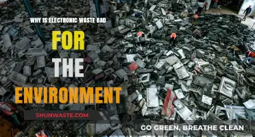 The Environmental Impact of E-Waste: A Growing Global Crisis