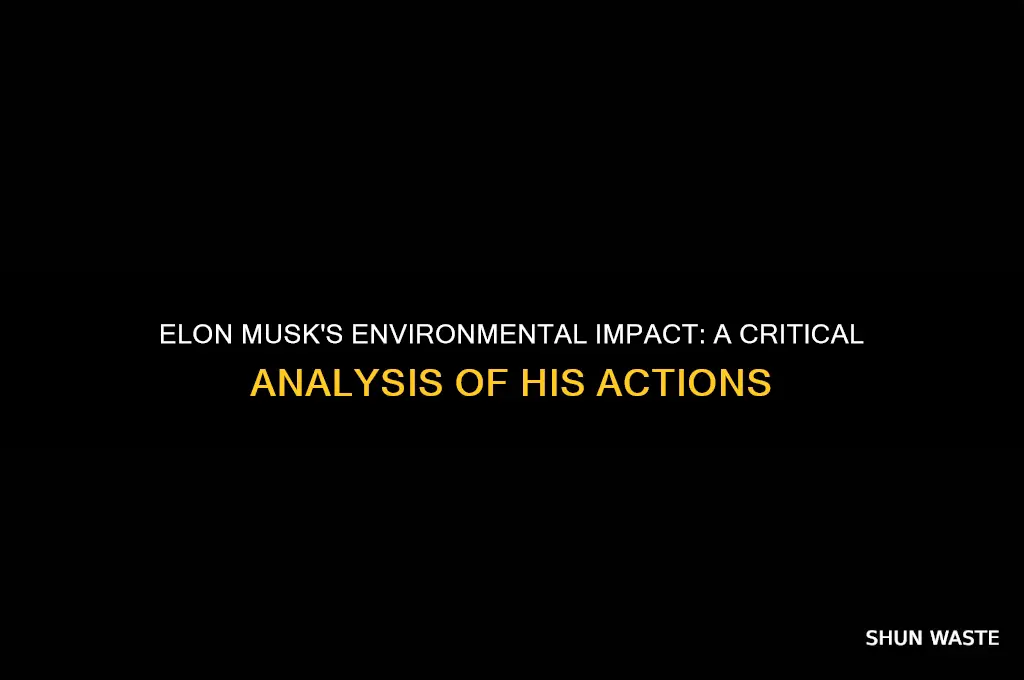 why is elon musk bad for the environment