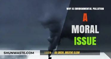 Environmental Pollution: A Moral Imperative for Global Responsibility and Justice
