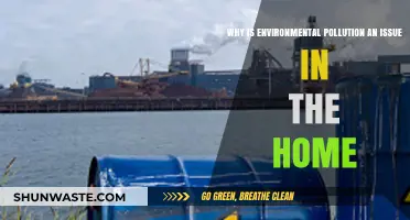 Home Pollution: Hidden Dangers and How to Combat Them