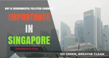 Singapore's Growing Focus: Environmental Pollution's Rising Importance Explained