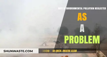 Environmental Pollution: The Overlooked Crisis and Its Hidden Consequences
