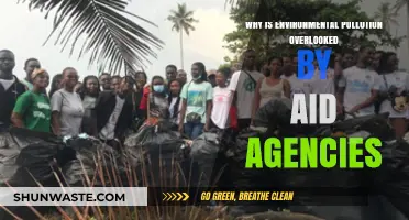 Environmental Pollution: The Silent Crisis Aid Agencies Often Overlook