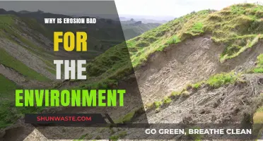 Erosion's Environmental Impact: How Soil Loss Harms Ecosystems and Climate