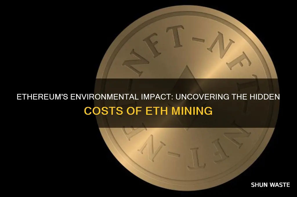 why is eth bad for the environment