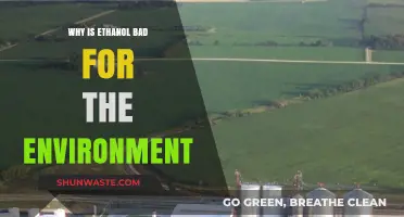 Ethanol's Environmental Impact: Uncovering Its Hidden Ecological Costs