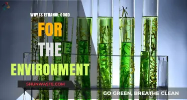Ethanol's Eco-Friendly Impact: Benefits for a Greener Environment