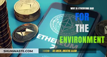 Ethereum's Environmental Impact: Uncovering the Dark Side of Crypto Mining